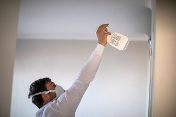 Best Attic Mold Removal  in Firebaugh, CA
