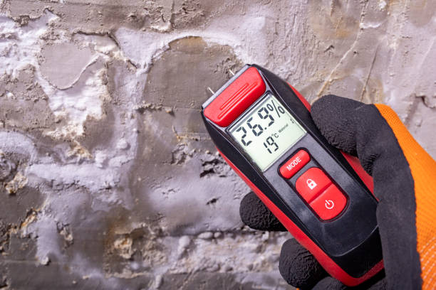 Trusted Firebaugh, CA Mold Removal Experts