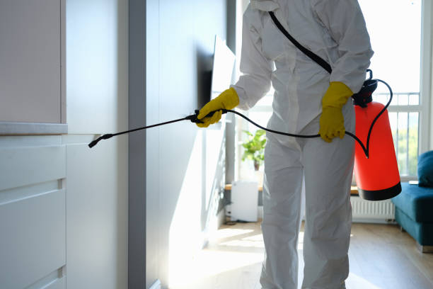 Best Mold Damage Repair  in Firebaugh, CA