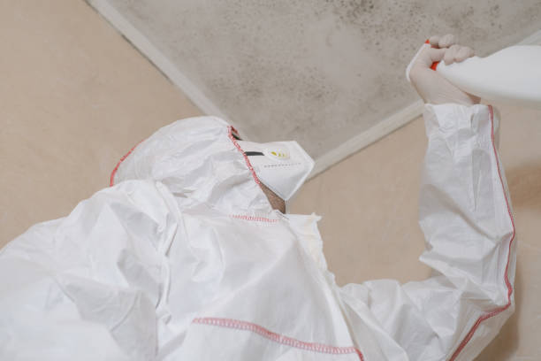 Best Mold Remediation Experts  in Firebaugh, CA