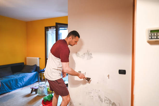 Best Emergency Mold Removal  in Firebaugh, CA